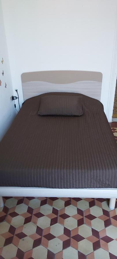 Arena Alfieri B&B Livorno Ngoại thất bức ảnh