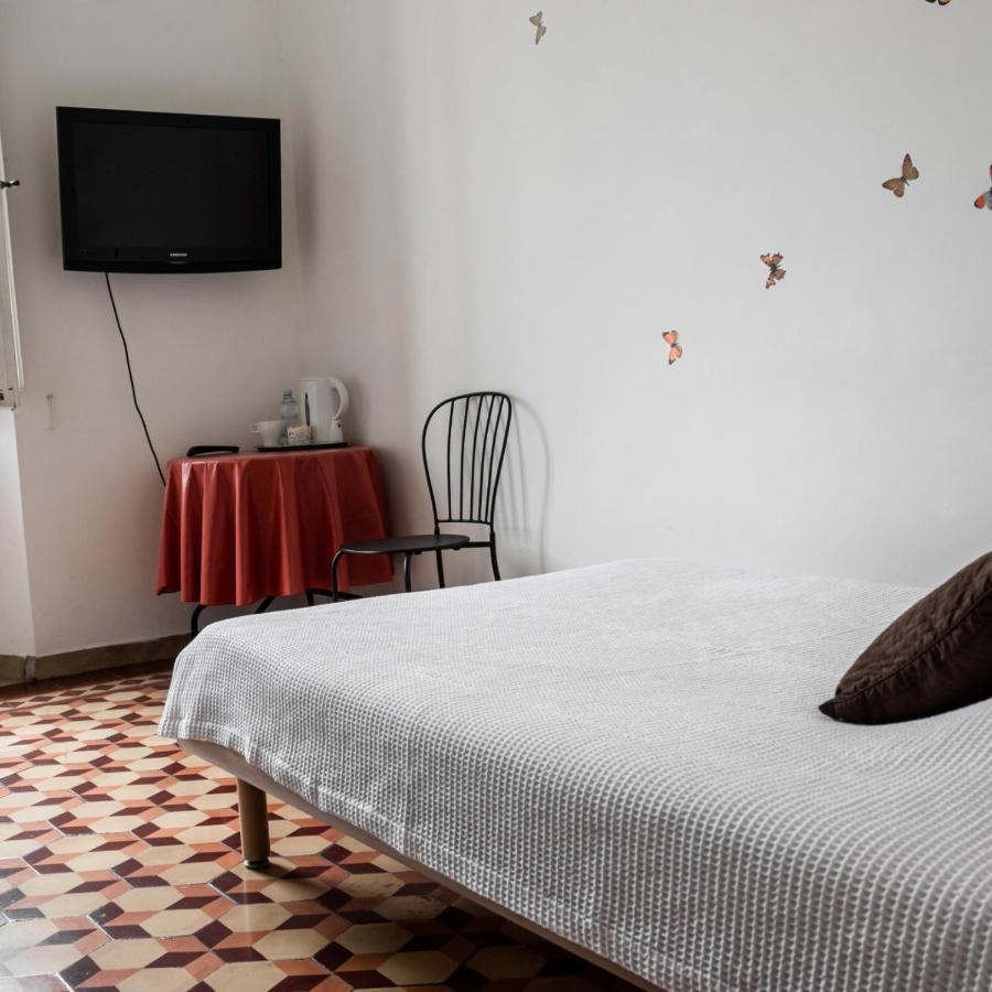 Arena Alfieri B&B Livorno Ngoại thất bức ảnh