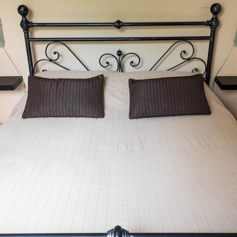 Arena Alfieri B&B Livorno Ngoại thất bức ảnh
