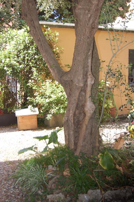 Arena Alfieri B&B Livorno Ngoại thất bức ảnh